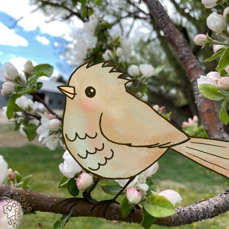 I drew a cute doodle bird on a photo of a blooming apple tree.