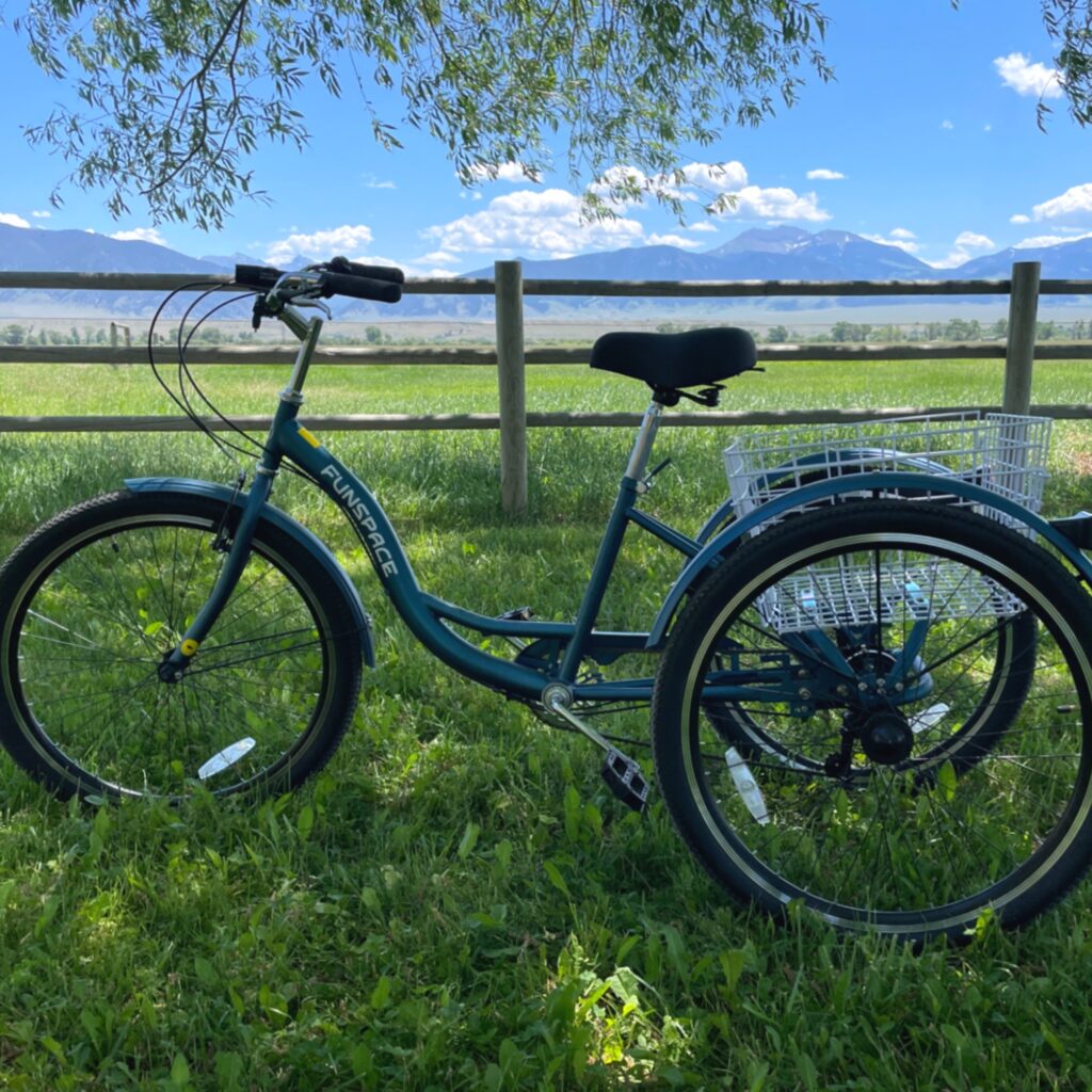 My tricycle for adults in my yard. The side of the trike has the words "Fun Space" on it. 