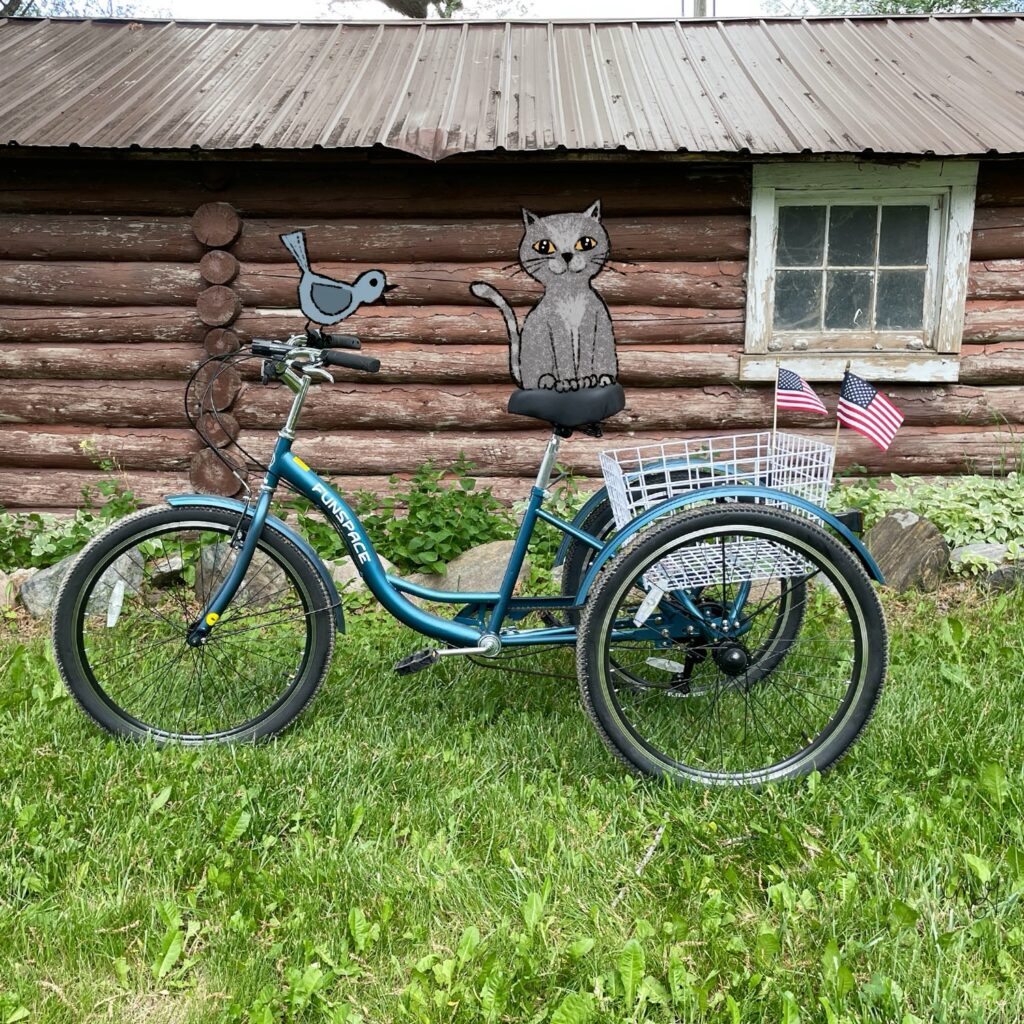 A picture of my tricycle with doodles of a cat on the seat and a bird on the handlebars. 