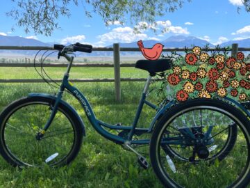 My beautiful tricycle with doodled flowers in the basket and a doodled bird on the seat.