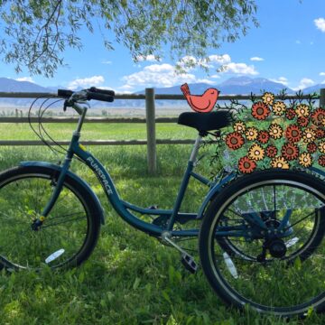 My beautiful tricycle with doodled flowers in the basket and a doodled bird on the seat.