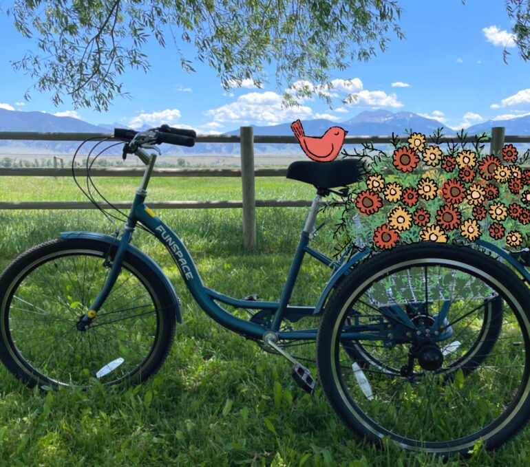 My beautiful tricycle with doodled flowers in the basket and a doodled bird on the seat.