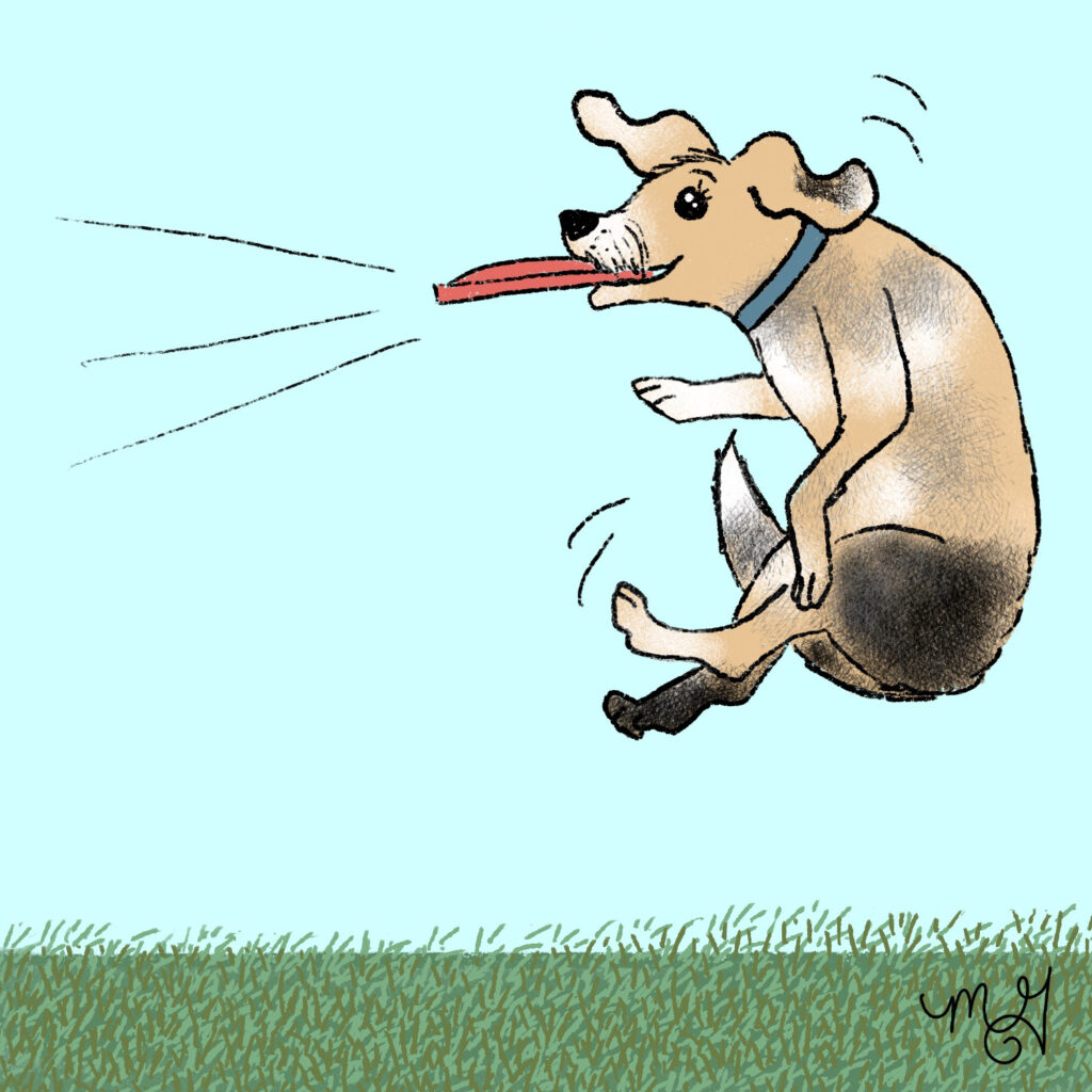 A drawing of Smitty the dog jumping up to catch a frisbee. 