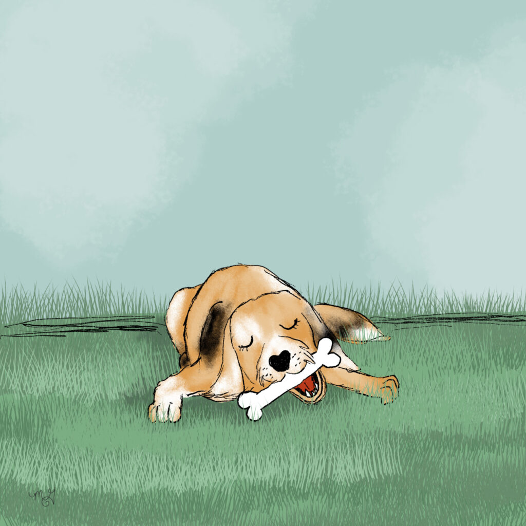 A drawing of Smitty the Dog laying on the grass, chewing a bone. 