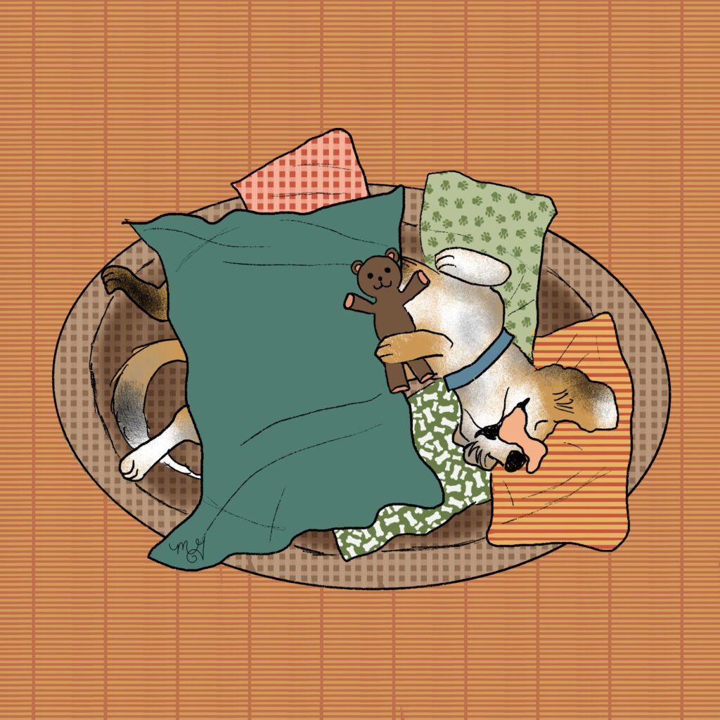 A drawing of Smitty the dog laying on his back in an oval-shaped dog bed filled with pillows. He's under a blanket and a little bear is tucked under his paw. 