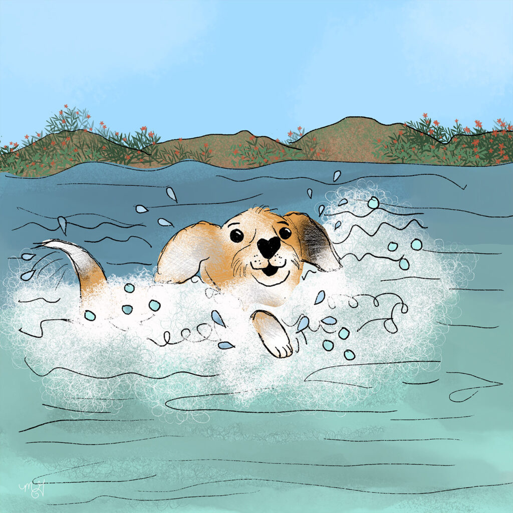 A drawing of Smitty the Mutt swimming in a pond with water splashing everywhere. 